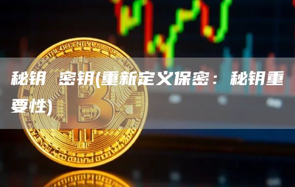 秘钥 密钥 - 重新定义保密：秘钥重要性
